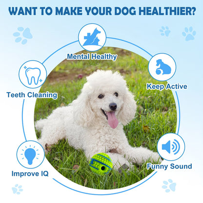 Pet Voice Ball Toy