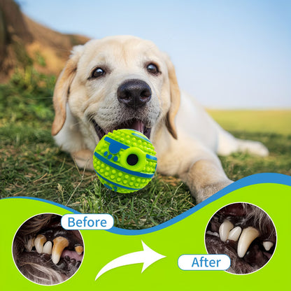 Pet Voice Ball Toy