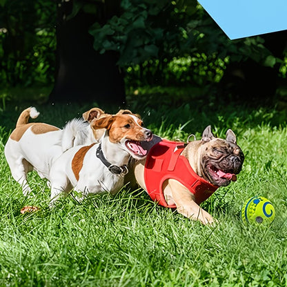 Pet Voice Ball Toy