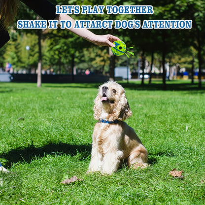 Pet Voice Ball Toy