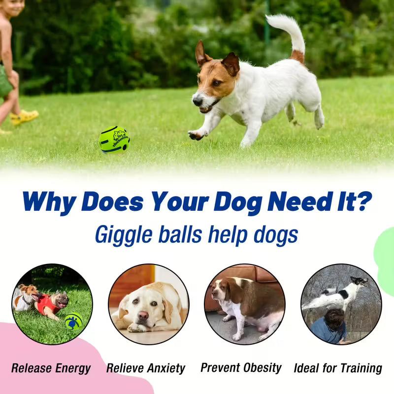 Pet Voice Ball Toy
