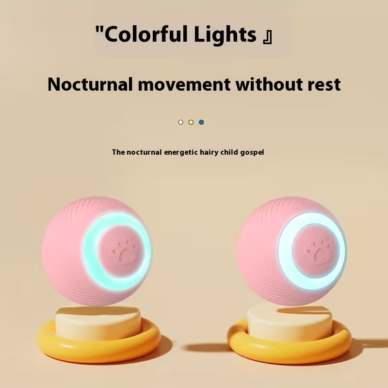 Interactive Pet Cat Toy - USB Charging