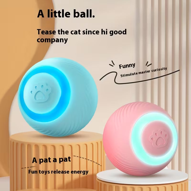 Interactive Pet Cat Toy - USB Charging