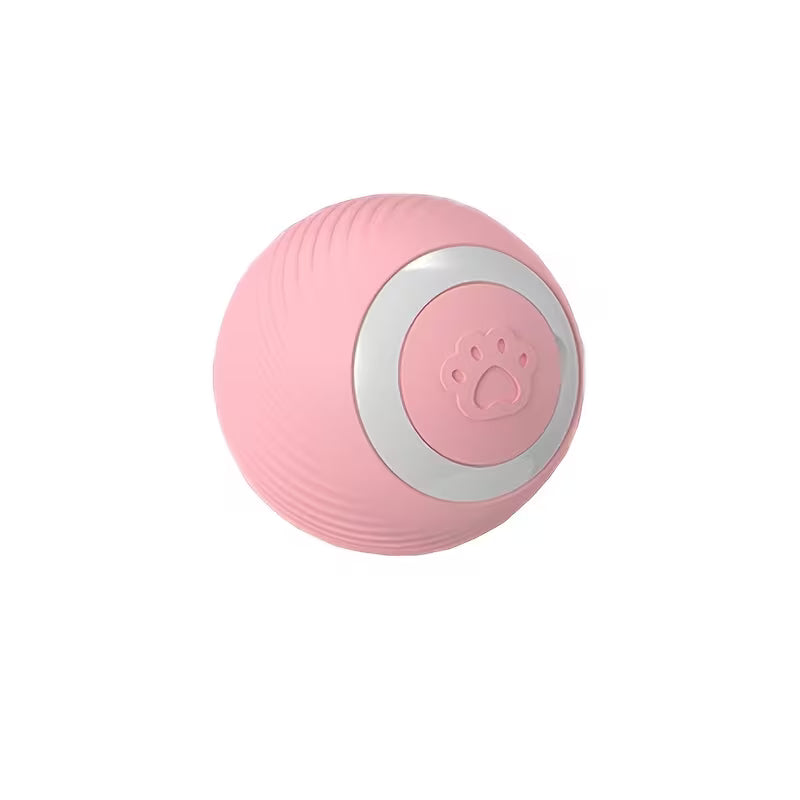 Interactive Pet Cat Toy - USB Charging