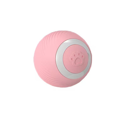 Interactive Pet Cat Toy - USB Charging