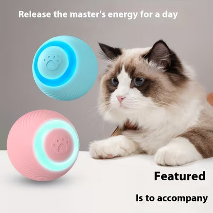 Interactive Pet Cat Toy - USB Charging