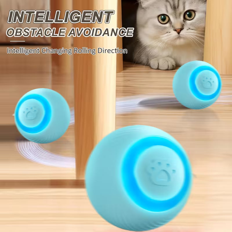 Interactive Pet Cat Toy - USB Charging