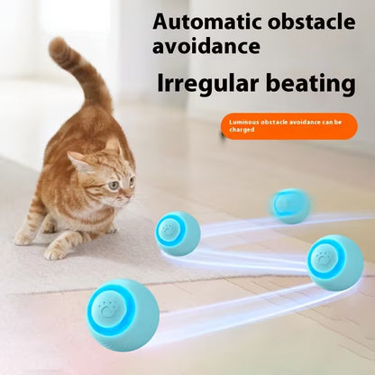 Interactive Pet Cat Toy - USB Charging