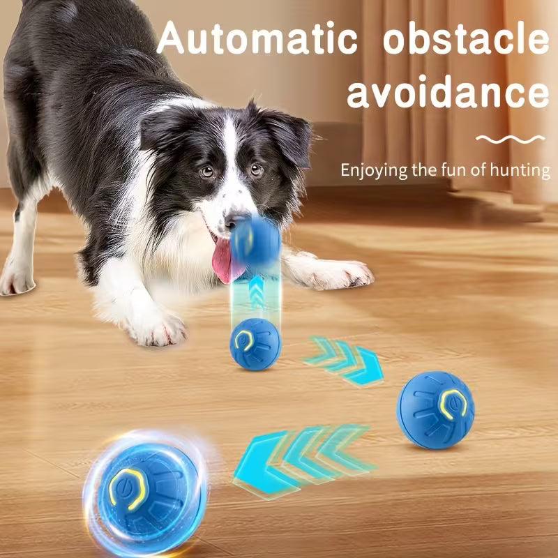 Multi-Function Electric Dog Ball Toy - USB Charging
