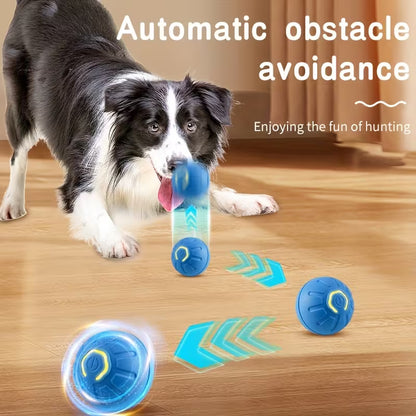 Multi-Function Electric Dog Ball Toy - USB Charging