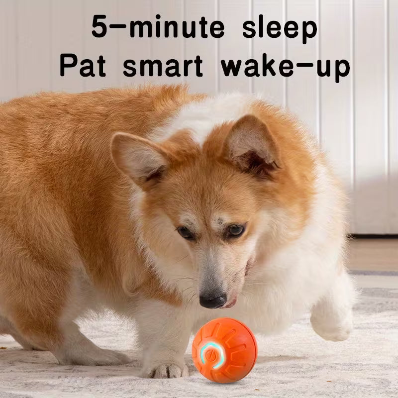 Multi-Function Electric Dog Ball Toy - USB Charging