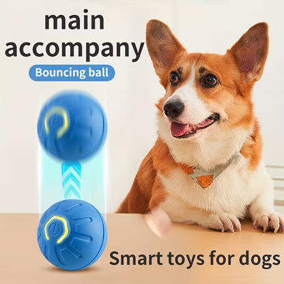 Multi-Function Electric Dog Ball Toy - USB Charging