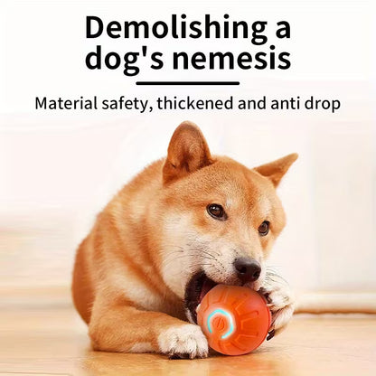 Multi-Function Electric Dog Ball Toy - USB Charging