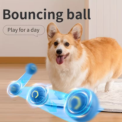 Multi-Function Electric Dog Ball Toy - USB Charging