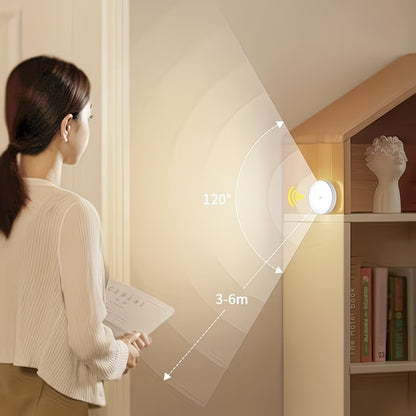 Intelligent Human Sensing Light