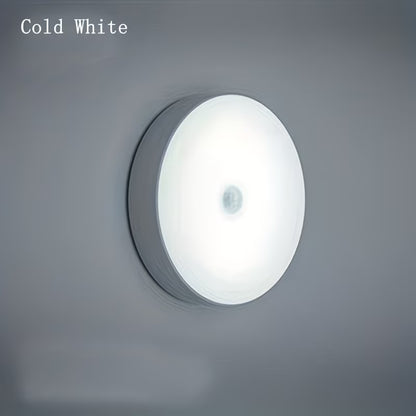 Intelligent Human Sensing Light