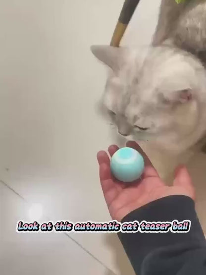 Interactive Pet Cat Toy - USB Charging
