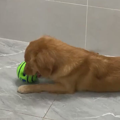Pet Voice Ball Toy