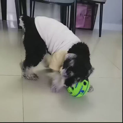 Pet Voice Ball Toy